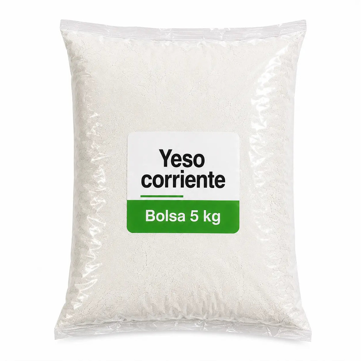 Yeso corriente bolsa 1 kg PASSOL