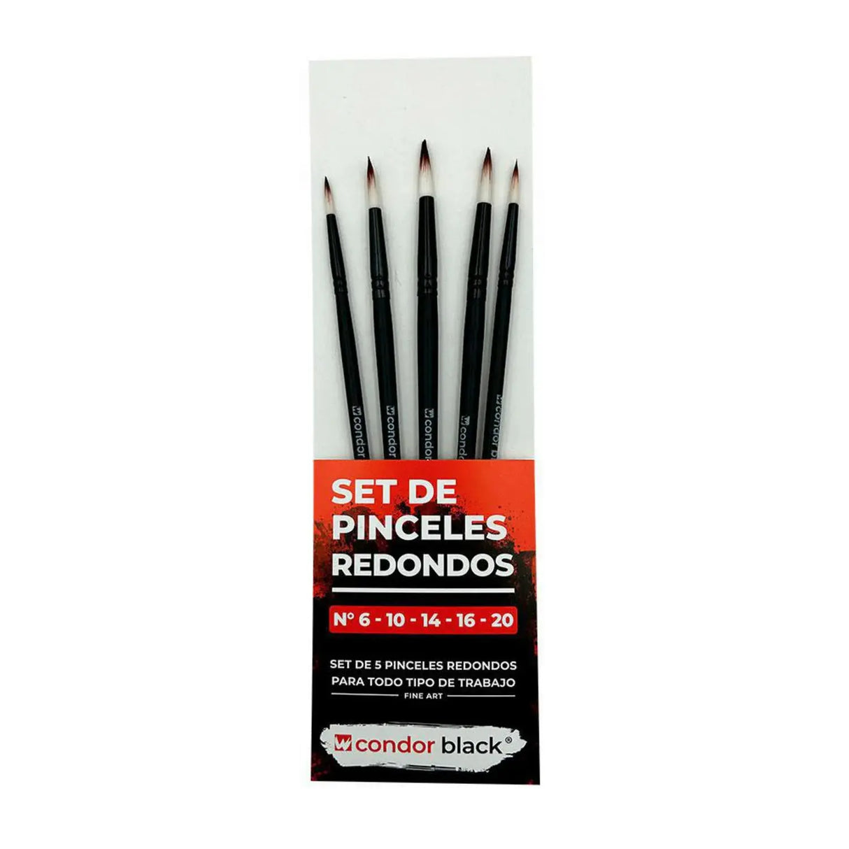Set de Pinceles Condor Black 5und Profesional PASSOL