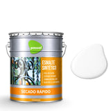 Esmalte Sintético Secado Rápido Passol Passol