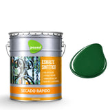 Esmalte Sintético Secado Rápido Passol Passol
