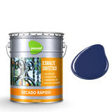 Esmalte Sintético Secado Rápido Passol Passol
