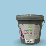 Esmalte al agua Deco  Passol PASSOL