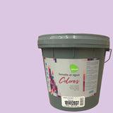 Esmalte al agua Deco  Passol PASSOL