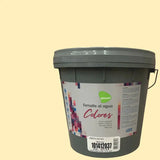 Esmalte al agua Deco  Passol PASSOL