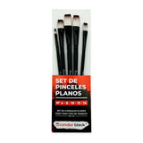 Set de Pinceles Condor Black 5und Profesional PASSOL